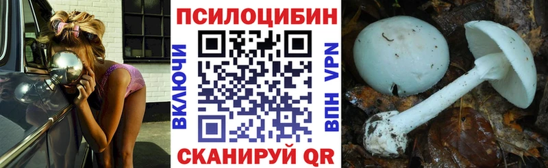 Галлюциногенные грибы GOLDEN TEACHER  Троицк 